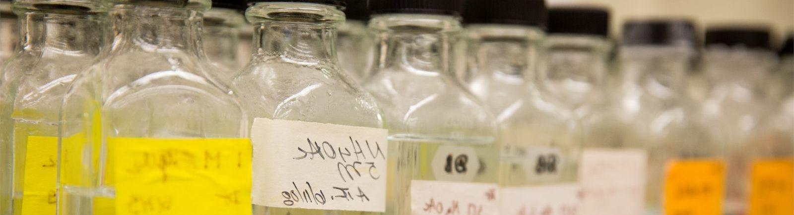 生物实验室里一排排贴着黄色标签的玻璃容器